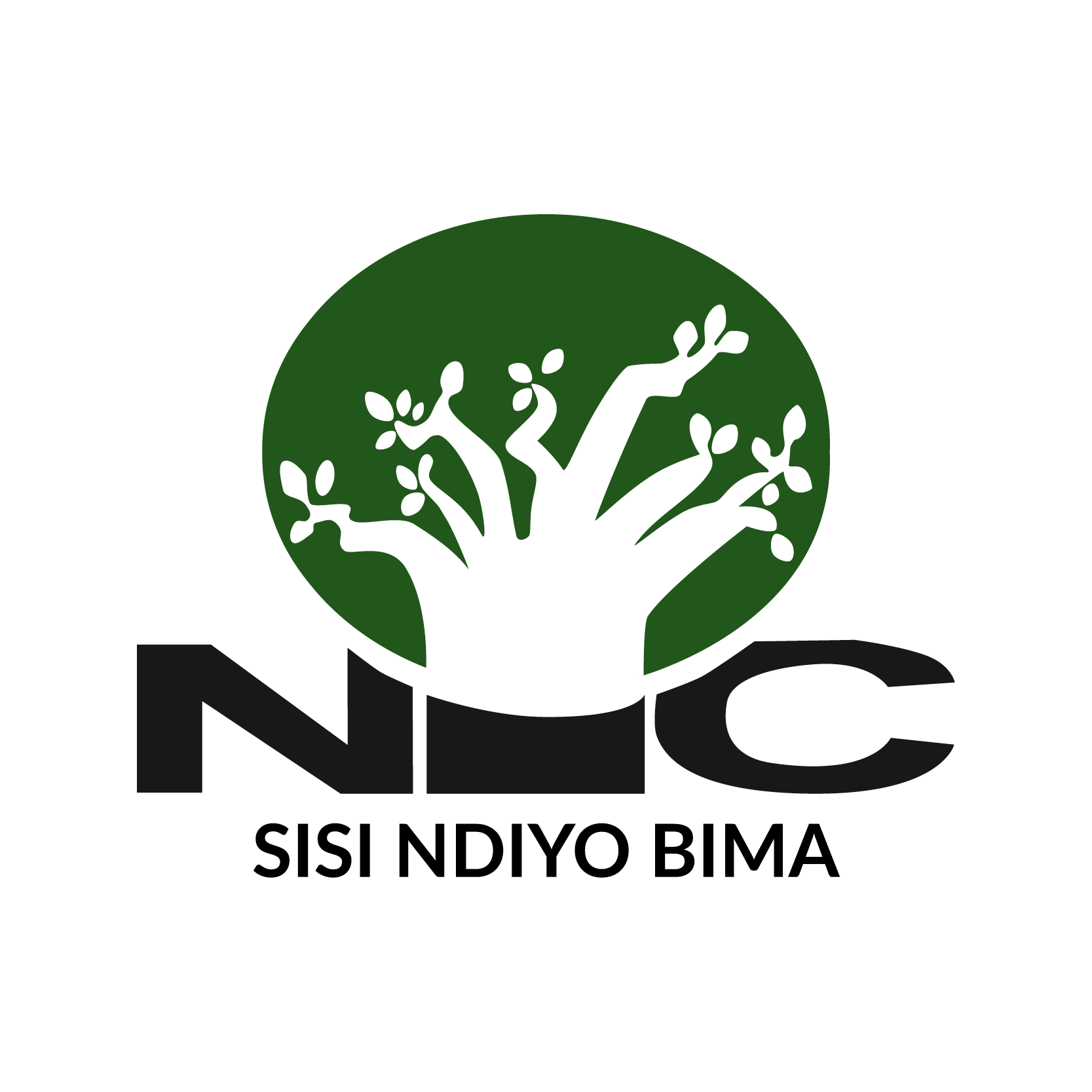 NIC